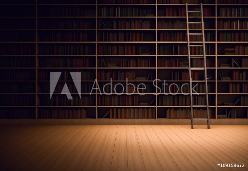 Picture of Library room with ladder